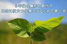 えがおインターン