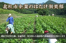 北杜市企業のはたけ倶楽部