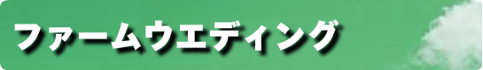 ファームウエディング