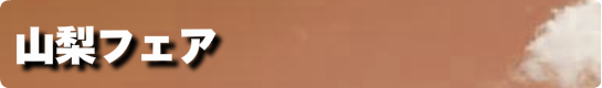 山梨フェア