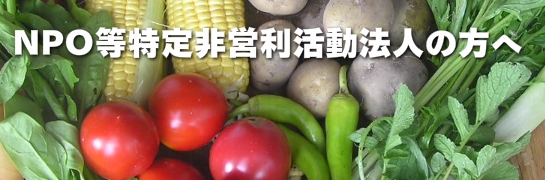 NPO等特定非営利活動法人の方へ