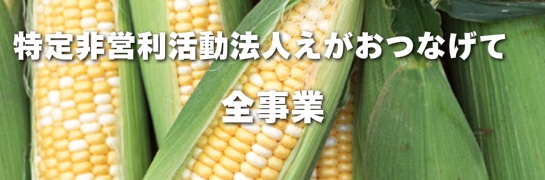 全ての事業一覧バナー