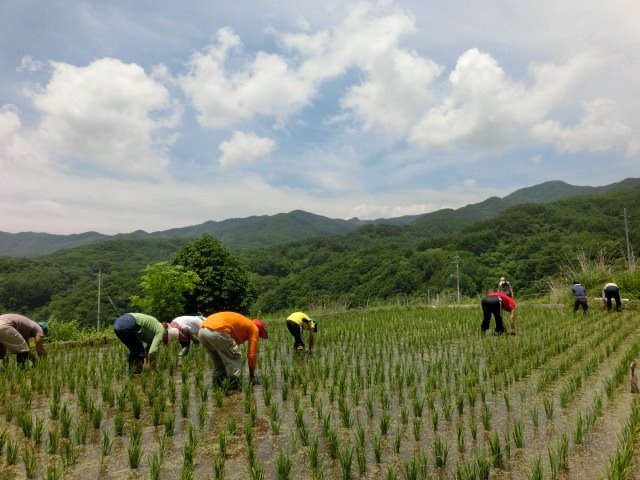 クリスタルファーム