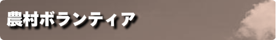 農村ボランティア