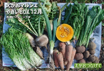 やさいBOX12月