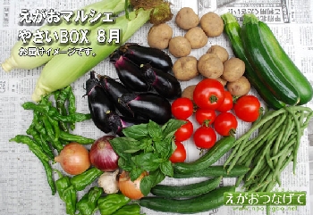 やさいBOX8月