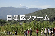 目黒区ファーム