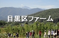 目黒区ファーム