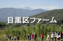 目黒区ファーム