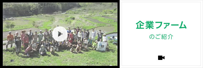 企業ファームのご紹介