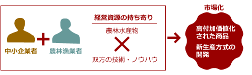 （2）新生産方式導入型の連携パターン