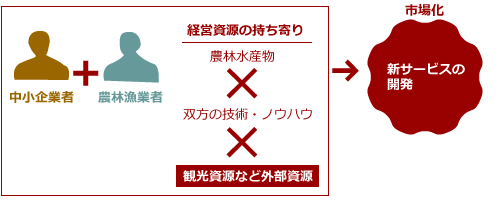 （3）新サービス開発型の連携パターン