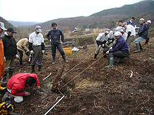 �O�����N�����n�����܊J��