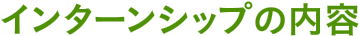 インターンシップの内容