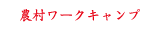 農村ワークショップ