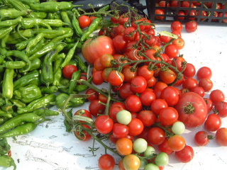 �N���b�N����ƐÎ~���\�����܂�