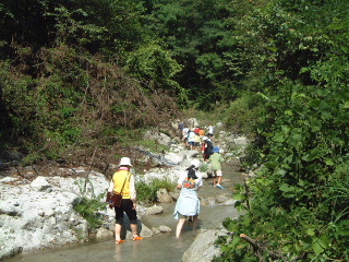 �N���b�N����ƐÎ~���\�����܂�