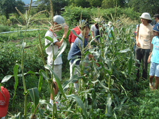 �N���b�N����ƐÎ~���\�����܂�