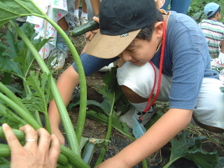 �N���b�N����ƐÎ~���\�����܂�