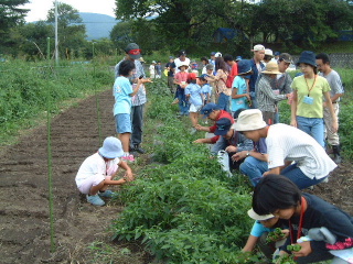 �N���b�N����ƐÎ~���\�����܂�