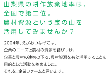 山梨県の耕作放棄地率は、全国で第二位。農村資源という宝の山を活用してみませんか？2004年、えがおつなげては、企業のニーズと農村の資源を結びつけ、企業と農村の連携の下で、農村資源を有効活用することを目的とした活動を始めました。それを、企業ファームと言います。